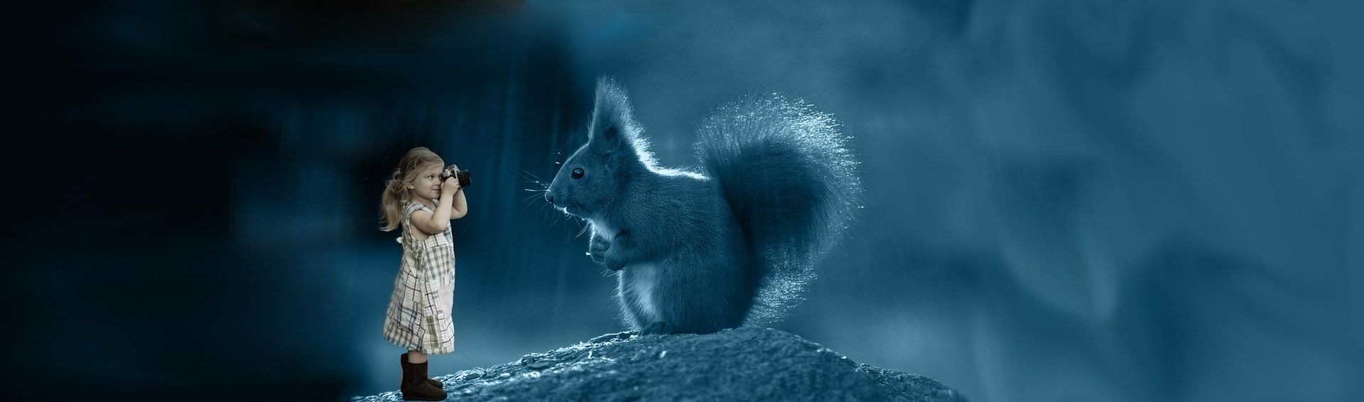 Bildmontage: Eichhörnchen
